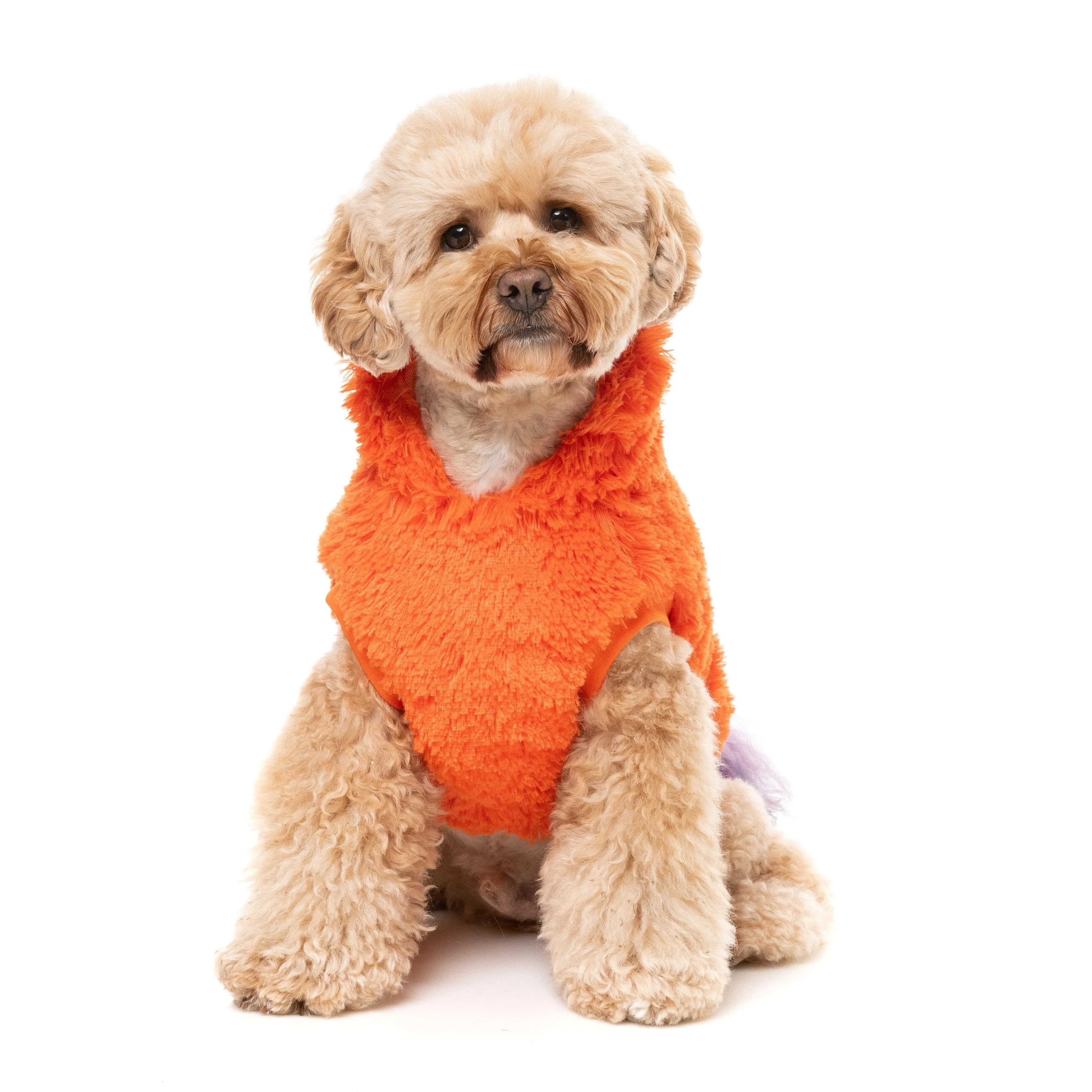 FuzzYard Halloween Dog Apparel Pumpkin Head Hoodie Size 2